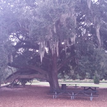 Hampton Park Dog Run - Dog Parks Near Me - Charleston, South Carolina Hampton Park Dog Run - Dog Parks Near Me - Charleston, South Carolina