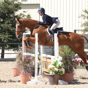 Jan Pearce Training - Murieta 2016 - Horseback Riding Near Me - Woodside, California