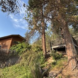 Blue Mountain Bed and Breakfast