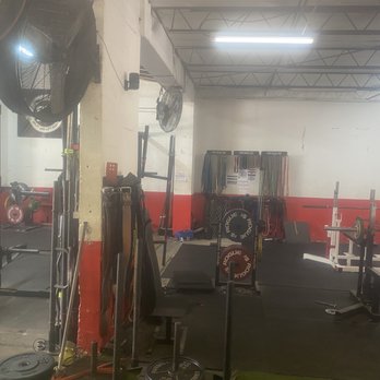 Elite Strength & Conditioning - Benches, bands, chains, etc. - Trainers Near Me - Tampa, Florida Elite Strength & Conditioning - Benches, bands, chains, etc. - Trainers Near Me - Tampa, Florida