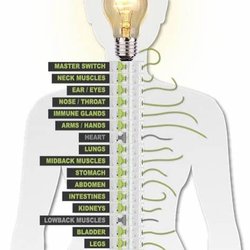 Schelin Family Chiropractic - Dr. Season Schelin explains the body in a simple diagram, so all can understand the Atlas of a body. I found this to be informative.