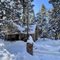 Big Bear Cool Cabins