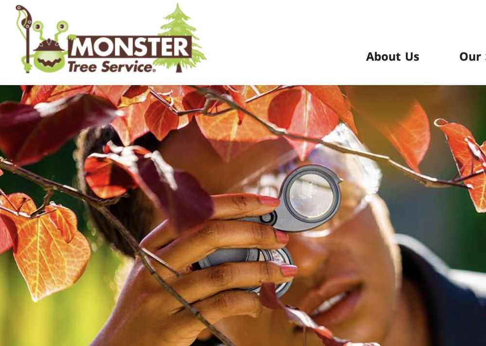MONSTER TREE SERVICE OF GREATER LANSING Updated October 2024 14
