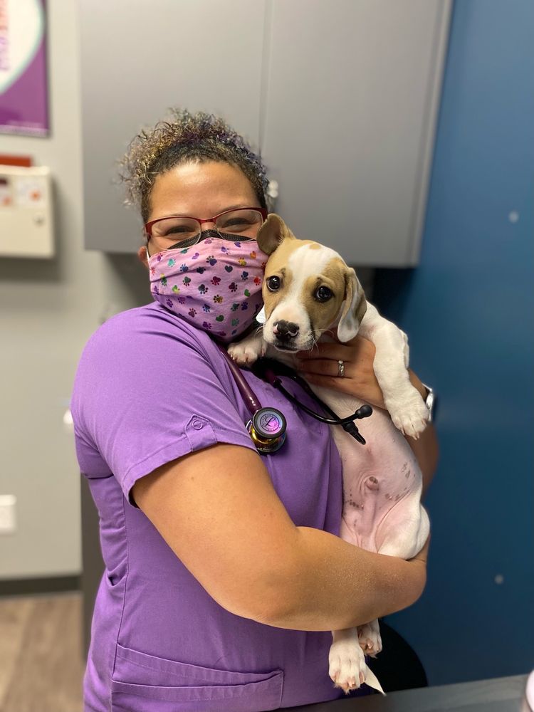 THE VILLAGE VETS STONE MOUNTAIN 21 Photos & 25 Reviews 5460 Five