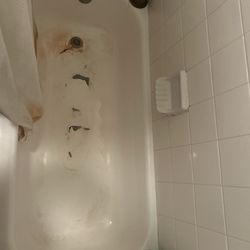 Milestone Properties - Bathtub