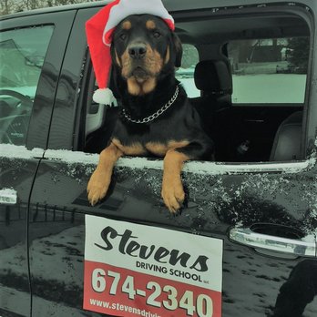 Stevens Driving School - Driving Schools Near Me - West Seneca, New York Stevens Driving School - Driving Schools Near Me - West Seneca, New York