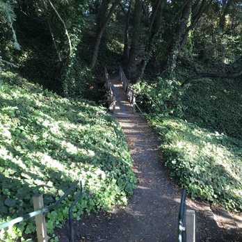 The Berkeley Rose Garden - A trail leading to the gardens - Botanical Gardens Near Me - Berkeley, California
