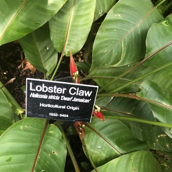 Krohn Conservatory - Botanical Gardens Near Me - Cincinnati, Ohio