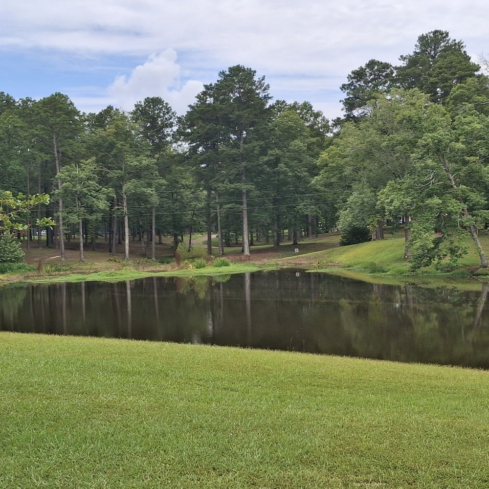 Coal Bluff Park Campground - Parks Near Me - Lena, Mississippi Coal Bluff Park Campground - Parks Near Me - Lena, Mississippi