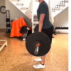 Adriana G Mireles - Total Body Motion - Brand new plates for training the dead lift!