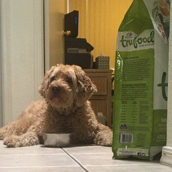PetSmart - Pet Stores Near Me - Glendale, Arizona
