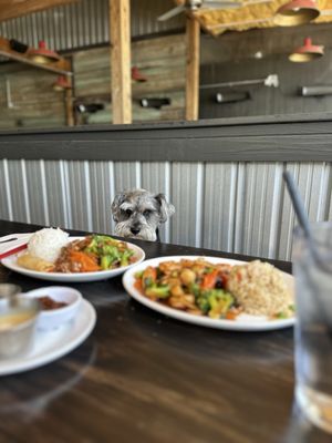 Suzi's Chinese by null