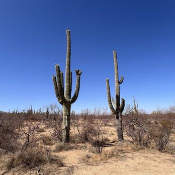 DOUGLAS SPRINGS TRAILHEAD - SAGUARO NATIONAL PARK - Updated June 2026 - 130  Photos & 20 Reviews - 14300 E Speedway Blvd, Tucson, Arizona - Parks - Yelp