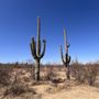Photo of Douglas Springs Trailhead - Saguaro National Park