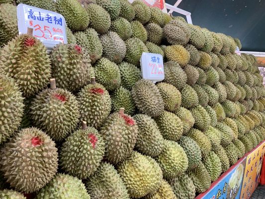 Durian 36 by null