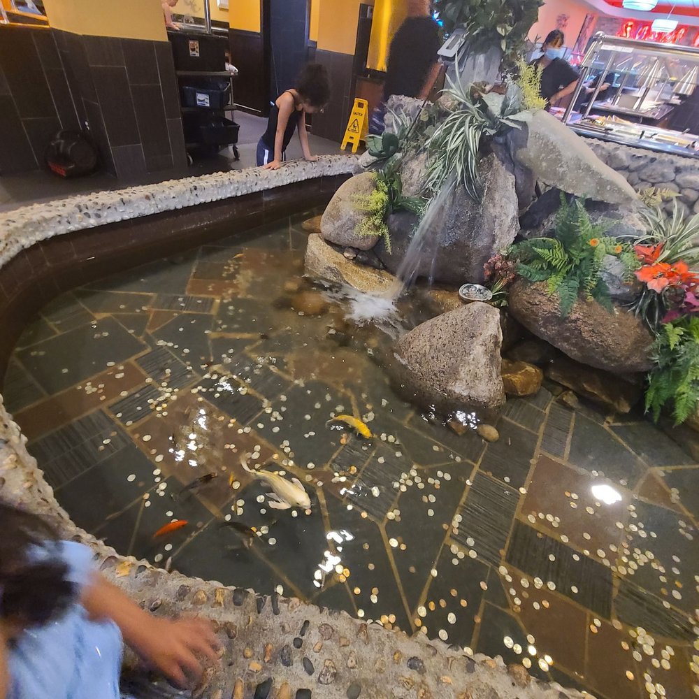 China Buffet - a woman looking at a fish pond - Chinese Near Me - Mason City, Iowa China Buffet - a woman looking at a fish pond - Chinese Near Me - Mason City, Iowa