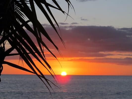 The Hale Pau Hana by null
