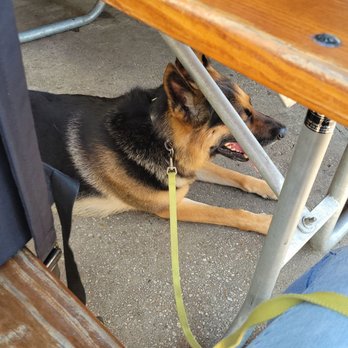 Davis' Pub - Dog friendly outdoor seating - American Near Me - Annapolis, Maryland