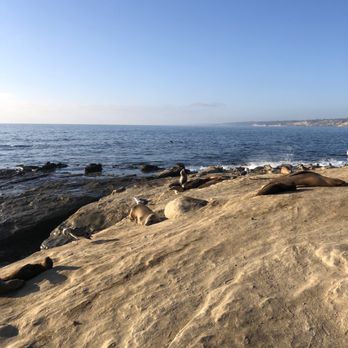 La Jolla Cove - Parks Near Me - La Jolla, California