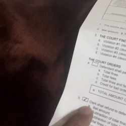 GetDismissed - My real court documents from my case