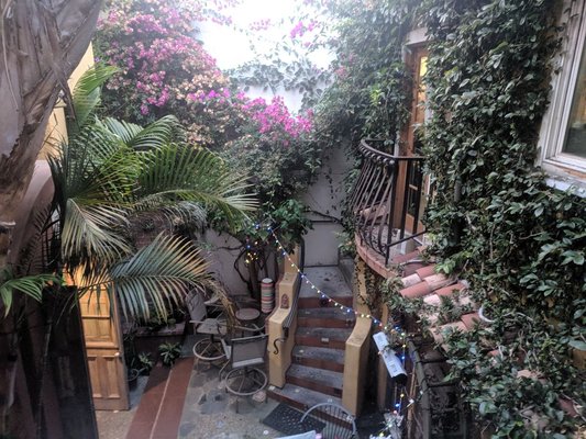 Coya Peruvian Secret by null