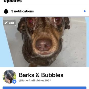 Barks & Bubbles - Business page on facebook - Pet Services Near Me Barks & Bubbles - Business page on facebook - Pet Services Near Me