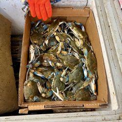 Bubba's Crab and Seafood