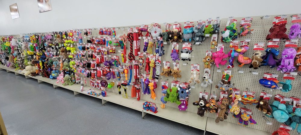 RUMFORD PET EXPRESS - Updated October 2024 - 40 Reviews - 399 Bald Hill Rd, Warwick, Rhode