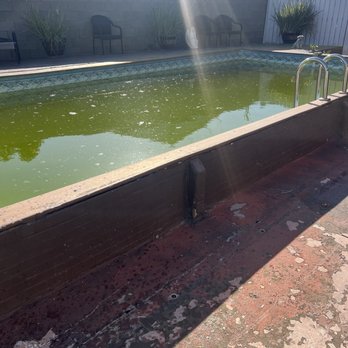 Milan Pool Construction & Services - Before and after of my swamp - Pool Cleaners Near Me