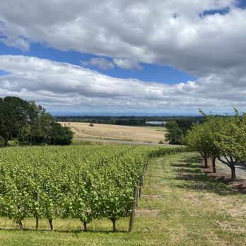 Cristom Vineyards - Wineries Near Me - Salem, Oregon Cristom Vineyards - Wineries Near Me - Salem, Oregon