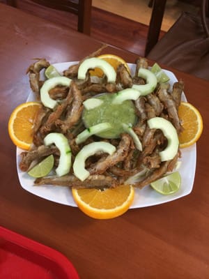 Los Cuates Seafood and Bar by null