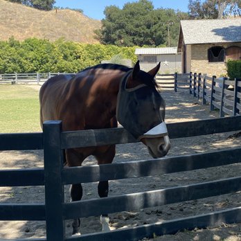 Stagecoach Company Wine Tours - Wine Tours Near Me Stagecoach Company Wine Tours - Wine Tours Near Me
