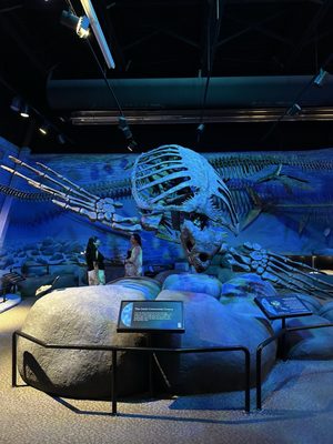 Natural History Museum of Utah by null