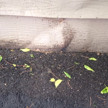 Tommy's Paving - Sealant sprayed all over siding. Never cleaned as promised. This is just one small area of many. - Masonry/Concrete Near Me - Arlington, Texas Tommy's Paving - Sealant sprayed all over siding. Never cleaned as promised. This is just one small area of many. - Masonry/Concrete Near Me - Arlington, Texas
