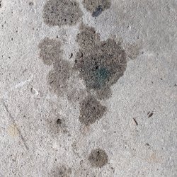 Janesville Nissan - stained garage floor left by leaked liquid.