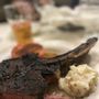 Photo of Rod's Steak And Seafood Grille