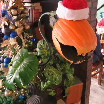 The Coffee MUGG - Coffee & Tea Near Me - Corpus Christi, Texas