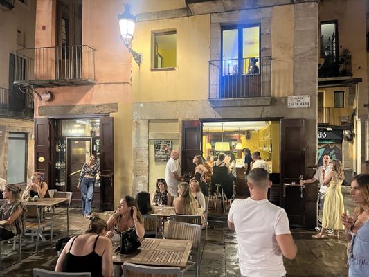 La Vinya del Senyor by null