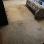 Photo of Nichols Carpet Cleaning