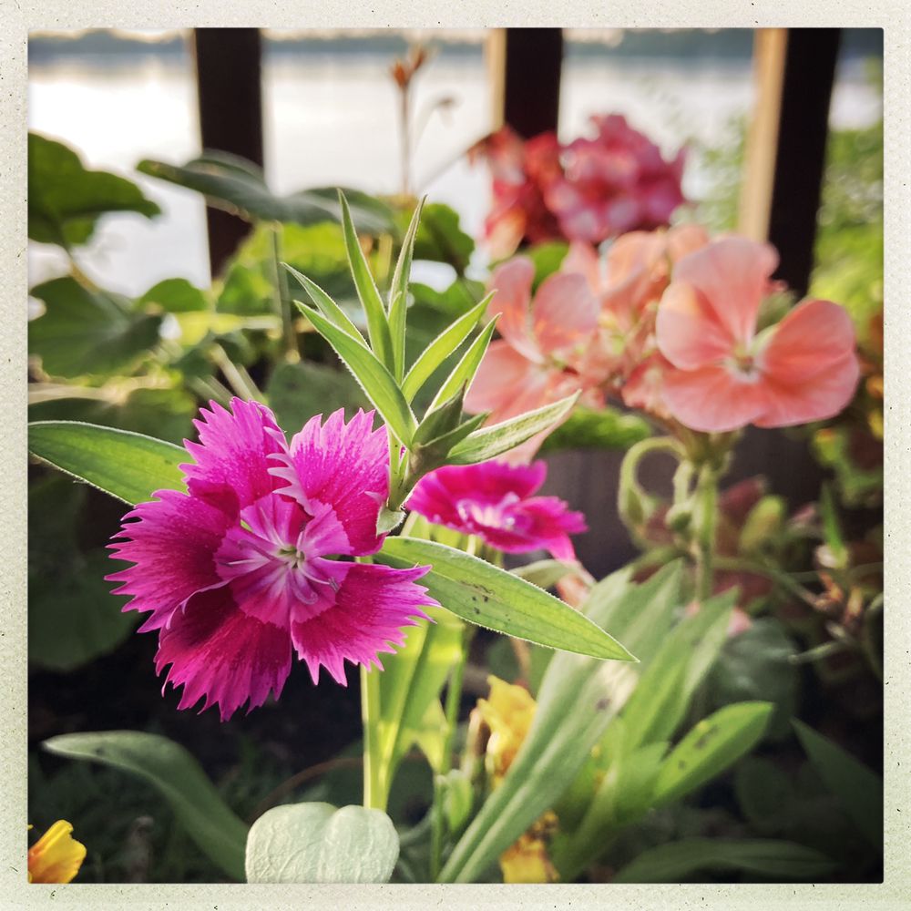 OAK HOLLOW RESORT SEASONAL RV PARK & VACATION CABIN RENTALS Updated