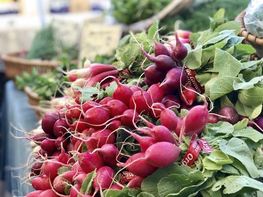 Montclair Village Farmers' Market by null