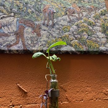 The Fly Trap - Patio - Bars Near Me - San Francisco, California
