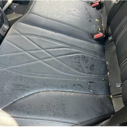 Walt’s Auto Detailing