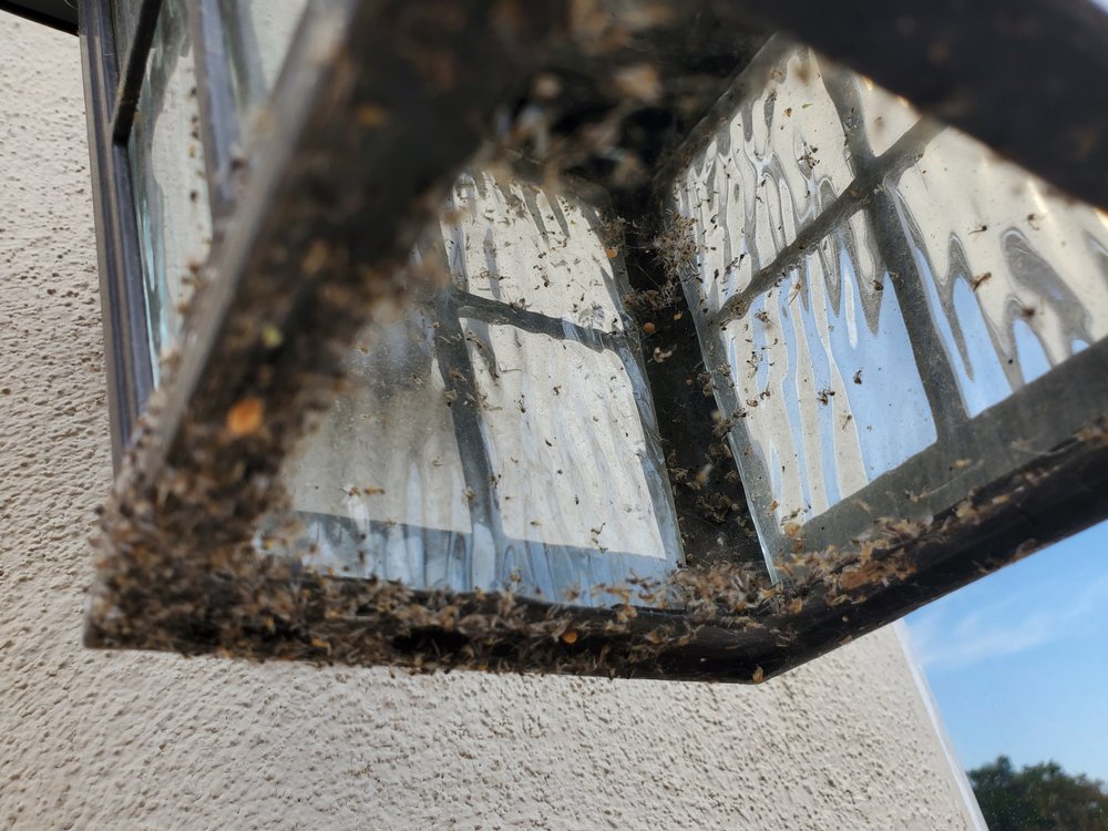 NATRIX PEST CONTROL Updated August 2024 13 Photos Bakersfield