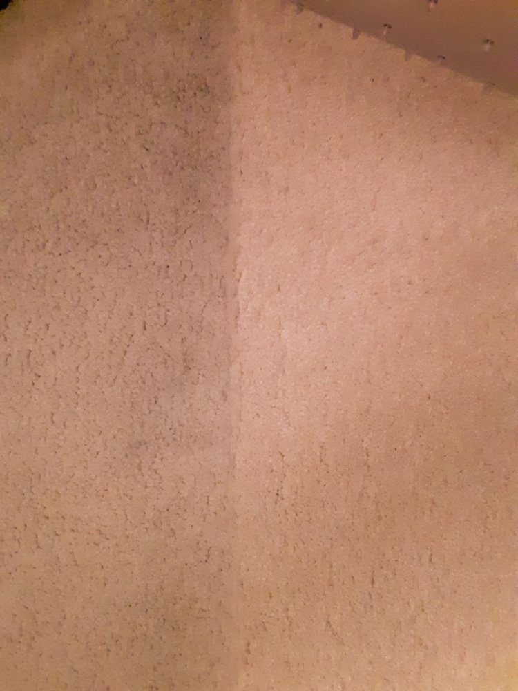 RADIANT CARPET & UPHOLSTERY CLEANING 12 Photos & 43 Reviews 1059