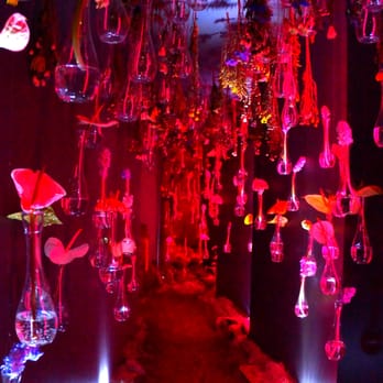 Alinea - The entryway. Is this Wonderland? - New American Near Me - Chicago, Illinois Alinea - The entryway. Is this Wonderland? - New American Near Me - Chicago, Illinois