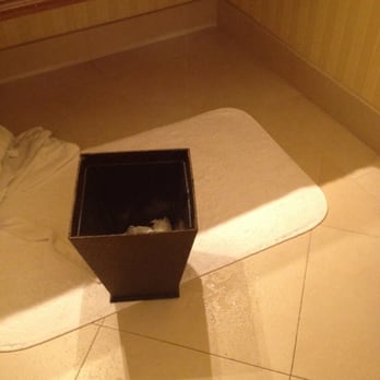 Lafayette Park - Water leaking from exhaust fan in bathroom. Puddles. Garbage can 1/4 full of possible toilet water from upstairs!!!???!?!?? - Hotels Near Me - Lafayette, California
