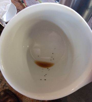 The Yellow Dog Coffee Company, LLC by null