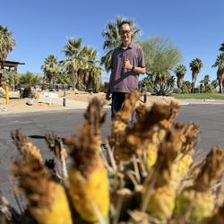 The Springs At Borrego Rv Resort and Golf Course