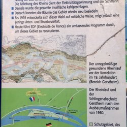 Au Bord du Rhin - Umgebung
